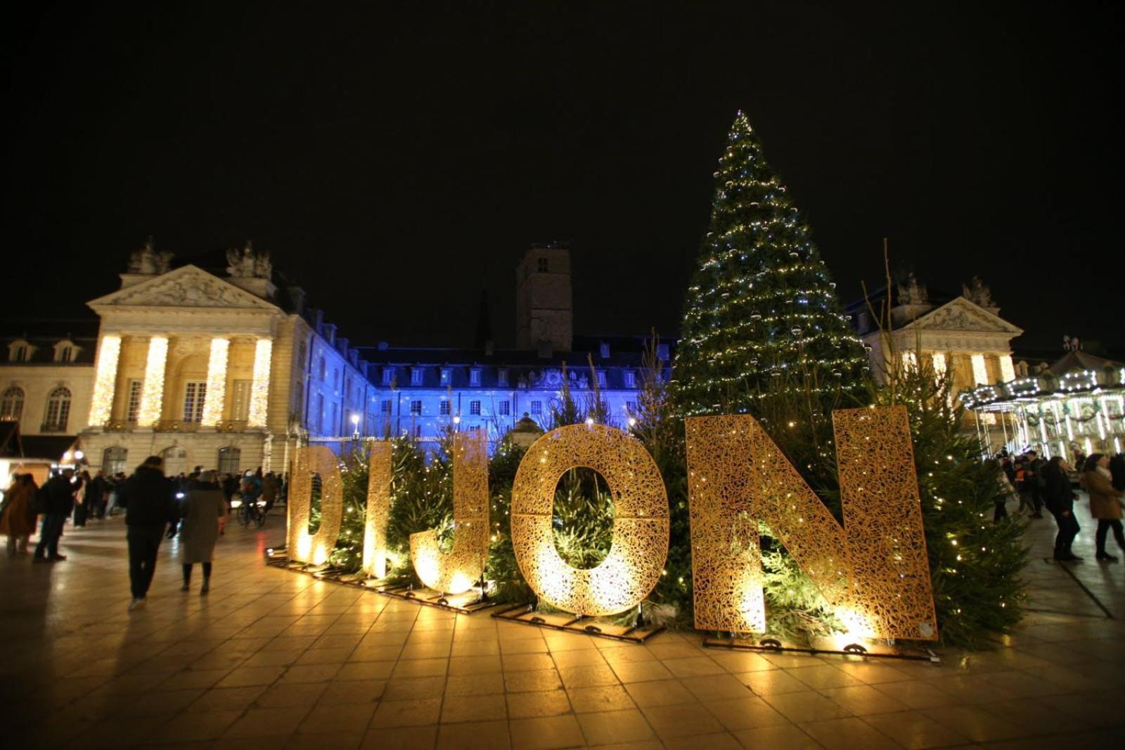 Le Green'Spa - Dijon - Spa-Jardin-Parking Prive Longvic Esterno foto
